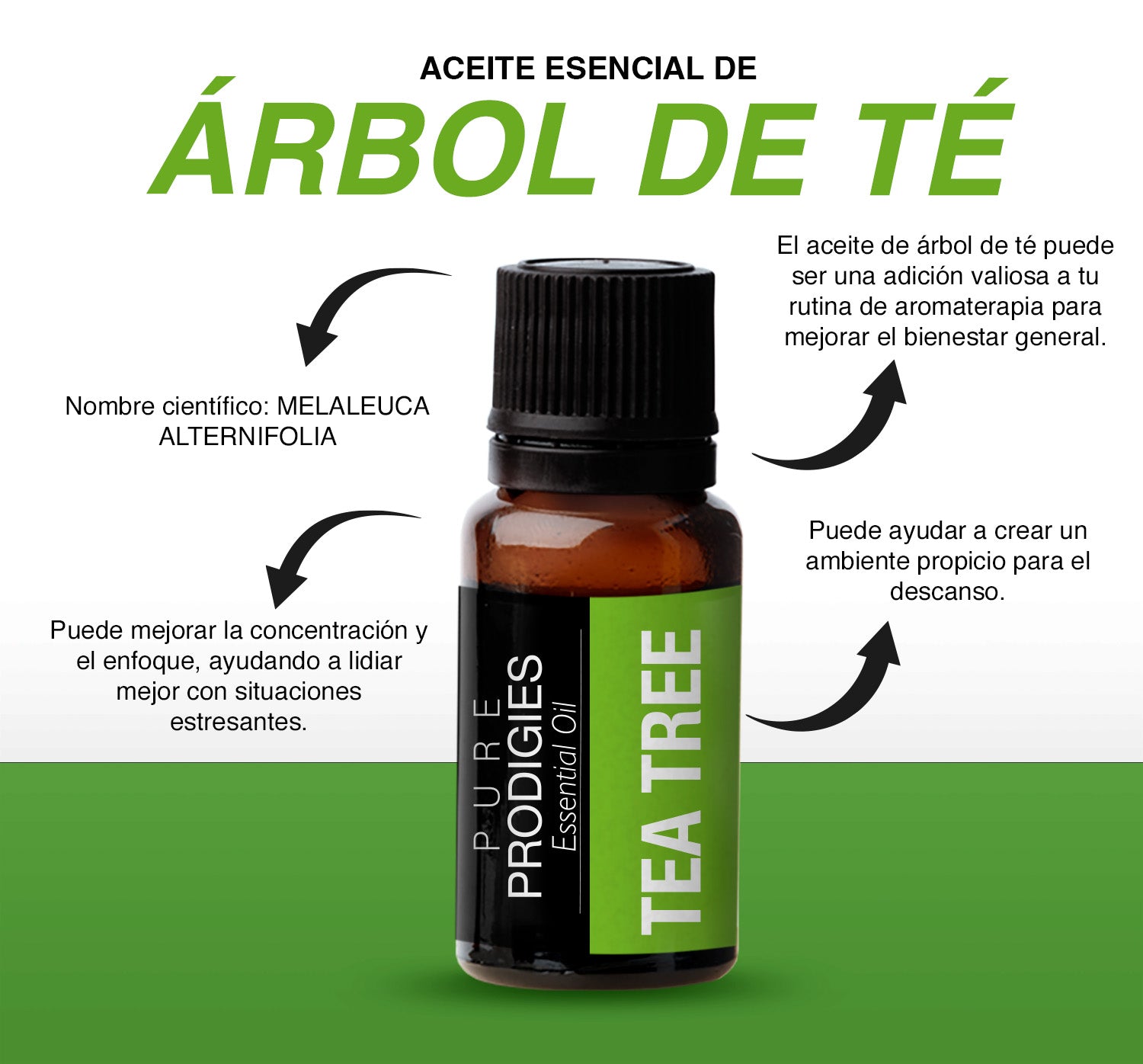 Aceite Esencial de Arbol de Té 15 ml